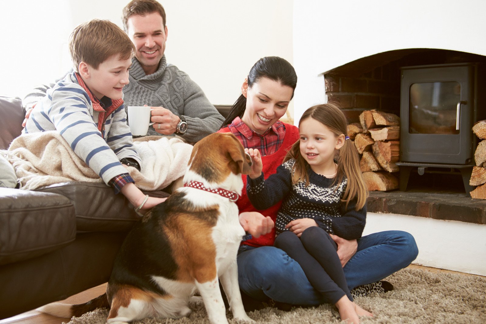 Cómo adaptar tu mascota a tu nueva casa