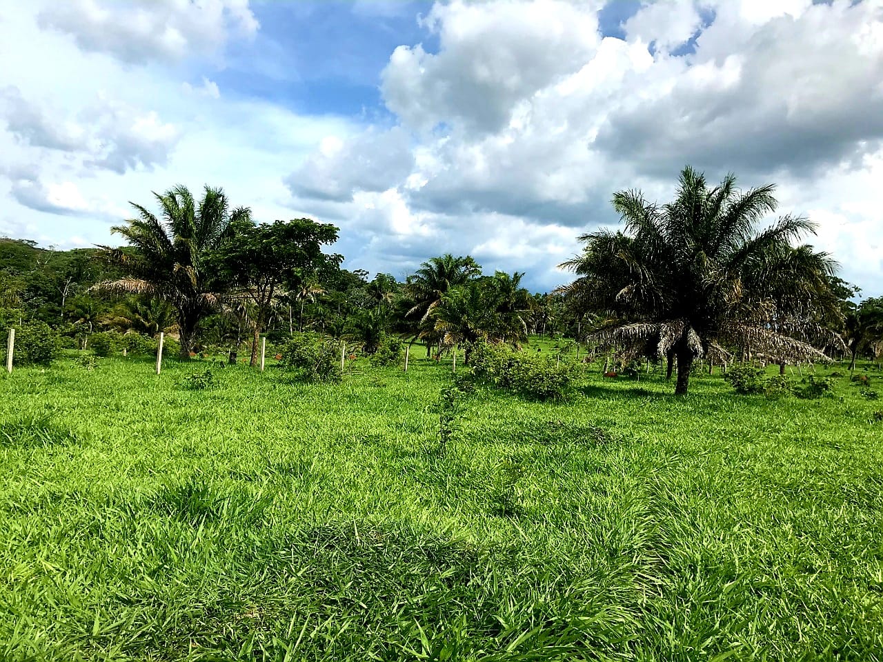 Propiedad ganadera en venta 