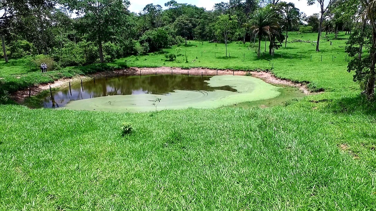 Propiedad ganadera en venta 