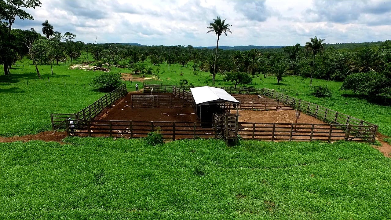 Propiedad ganadera en venta 