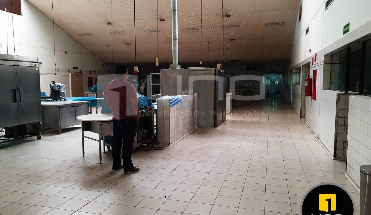 Alquilo Vendo Amplio Inmueble Con Oficinas Y Galpones