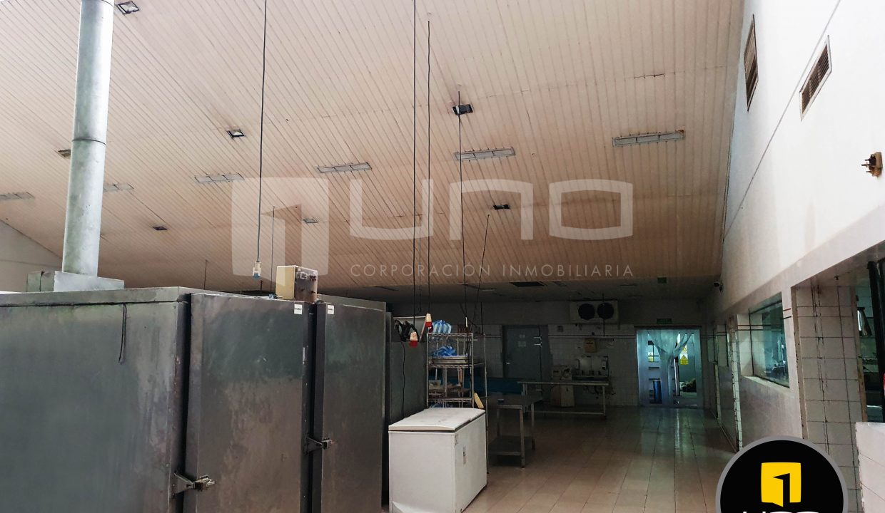 Alquilo Vendo Amplio Inmueble Con Oficinas Y Galpones