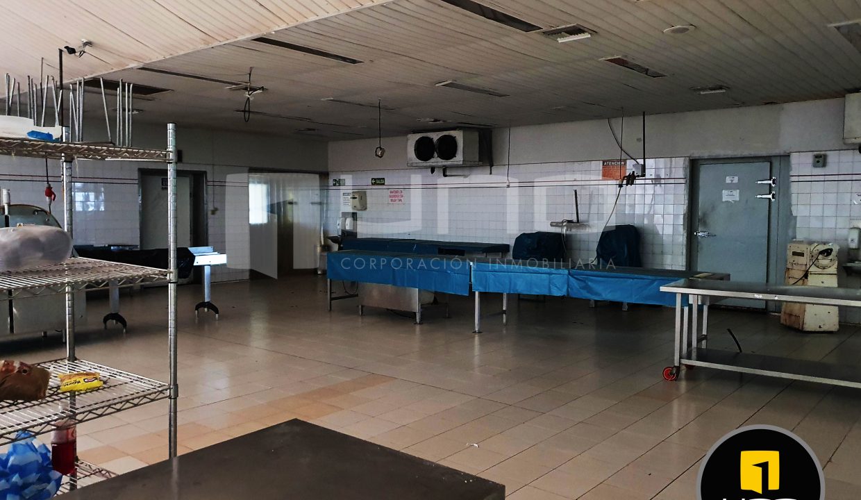 Alquilo Vendo Amplio Inmueble Con Oficinas Y Galpones