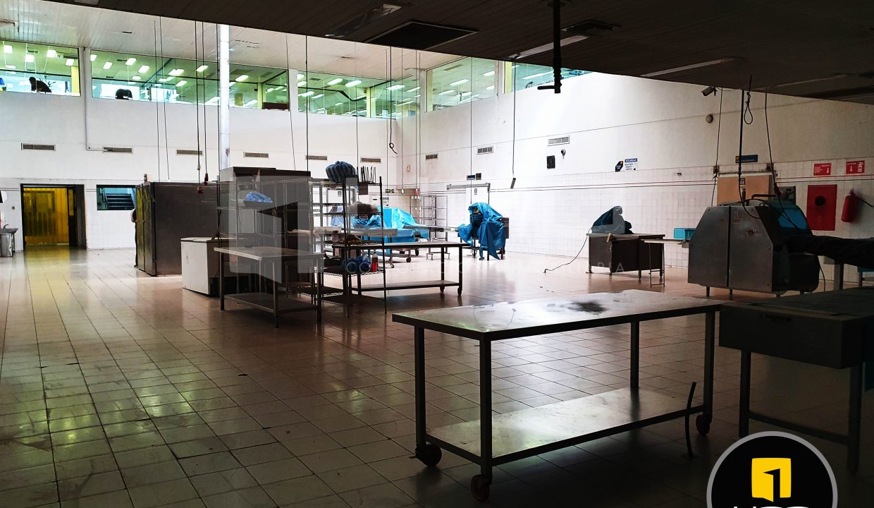 Alquilo Vendo Amplio Inmueble Con Oficinas Y Galpones