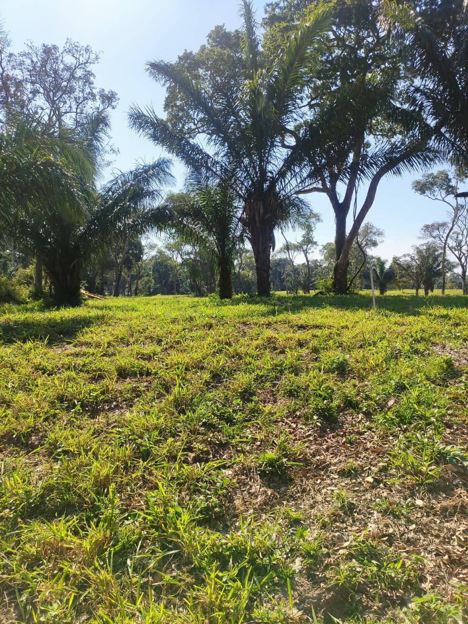 TERRENO EN VENTA URUBÓ CITY