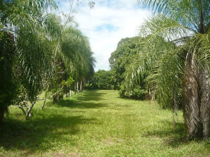 TERRENO EN VENTA EN COMPLEJO CAMPESTRE NORTE ISTRE 