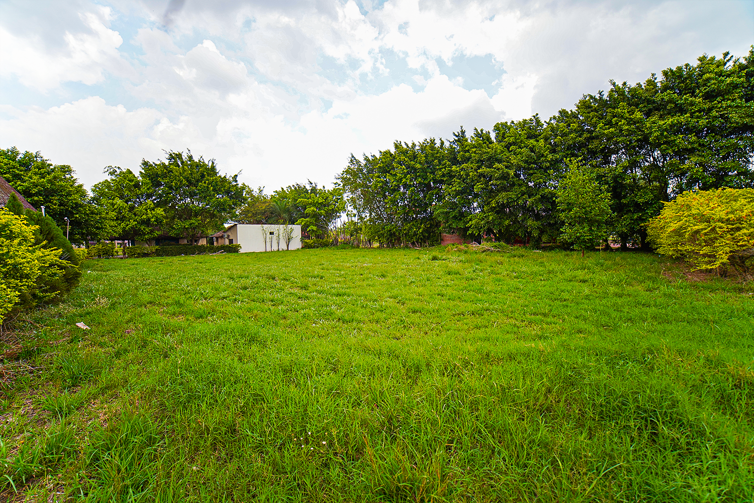 TERRENO IDEAL PARA CASA DE CAMPO DE 1306 M2 