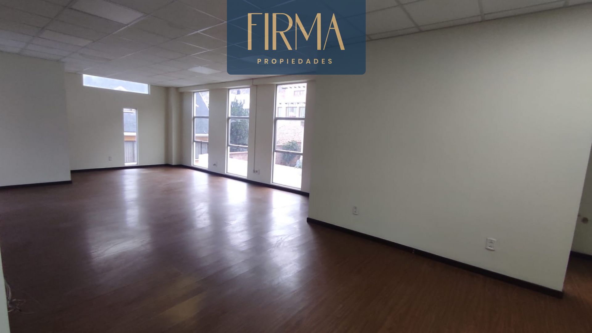 COMPRA ESTE EDIFICIO CON OFICINAS EN BAJO SEGUENCOMA