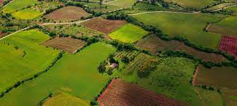 Test land