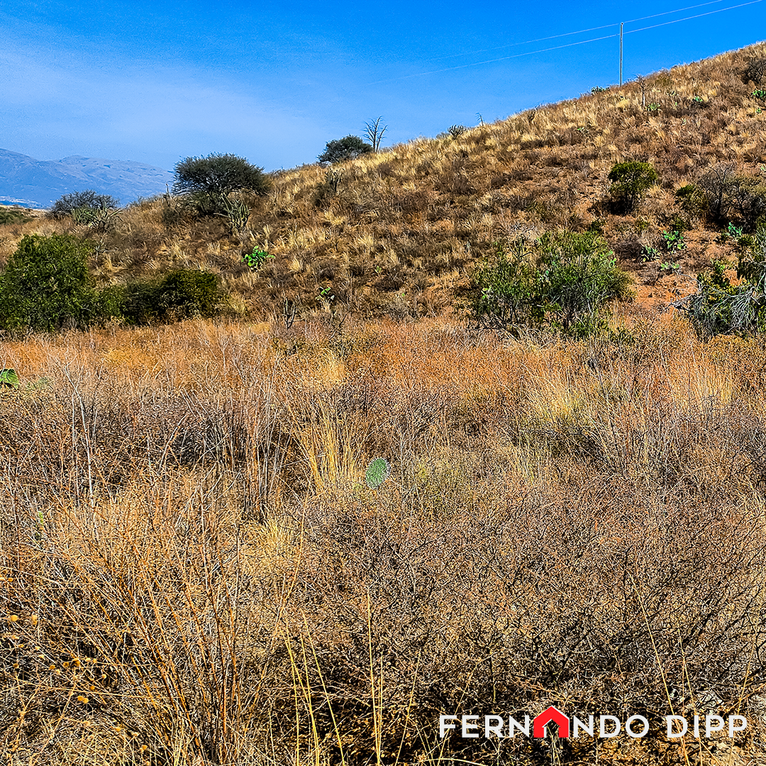 Terrenos en venta en Tolata - Cochabamba 