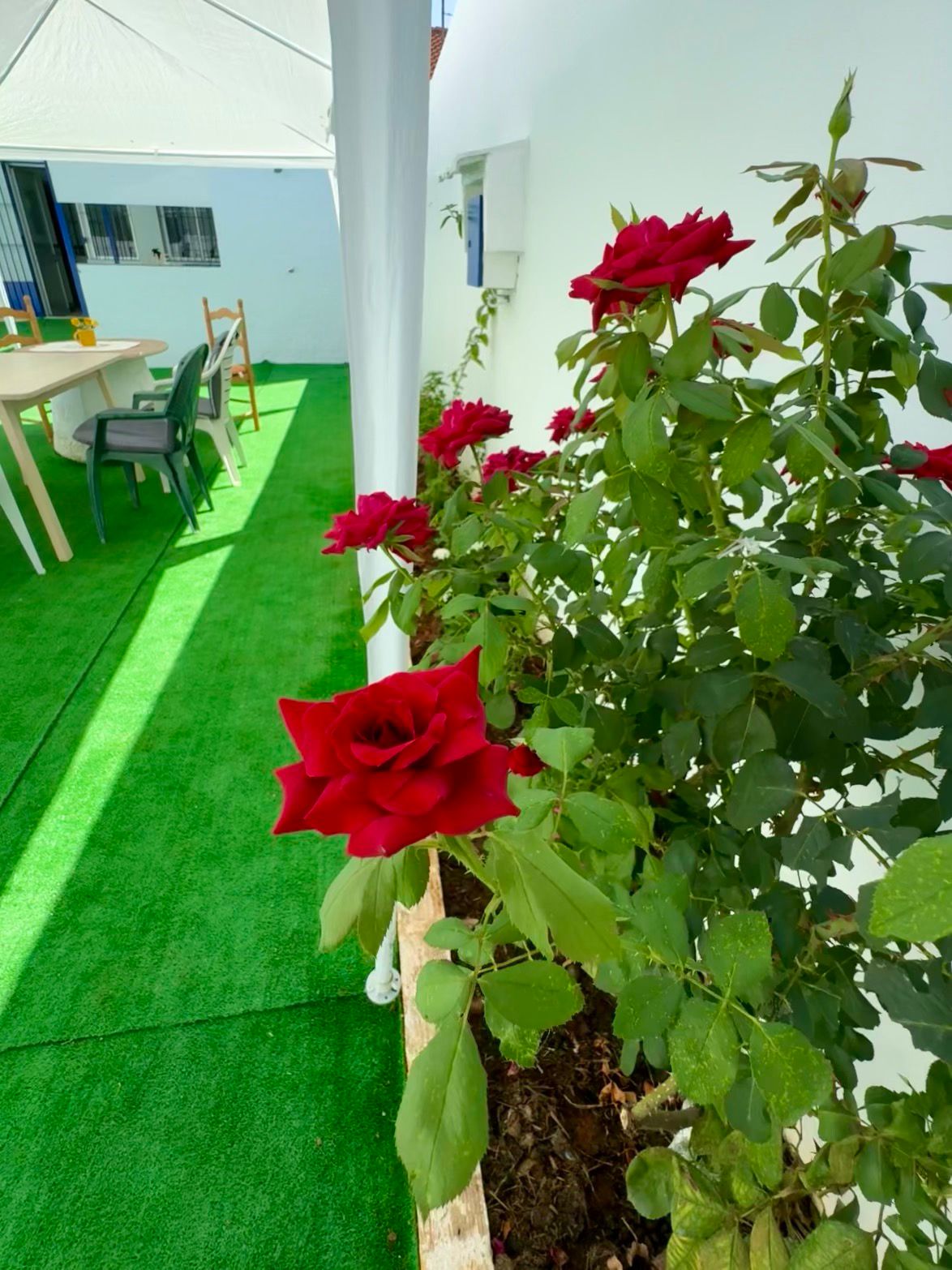 La casa del Flamenco