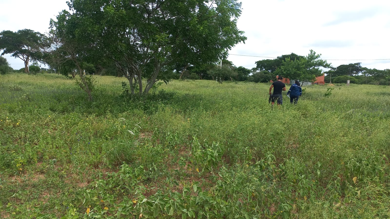 LOTES DE TERRENO ECONOMICOS EXCELENTE UBICACION  