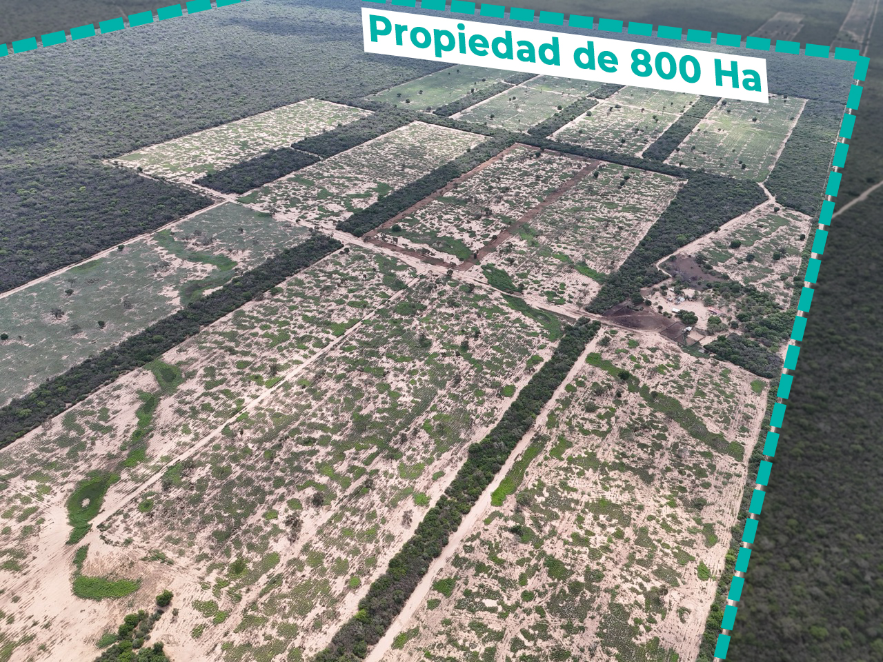 PROPIEDAD GANADERA EN VENTA, 