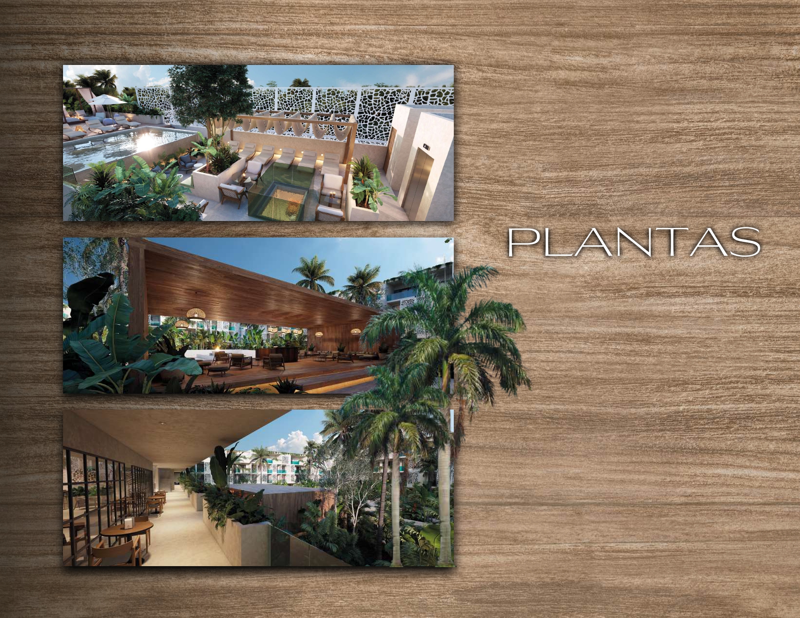 Desarrollo Tulum