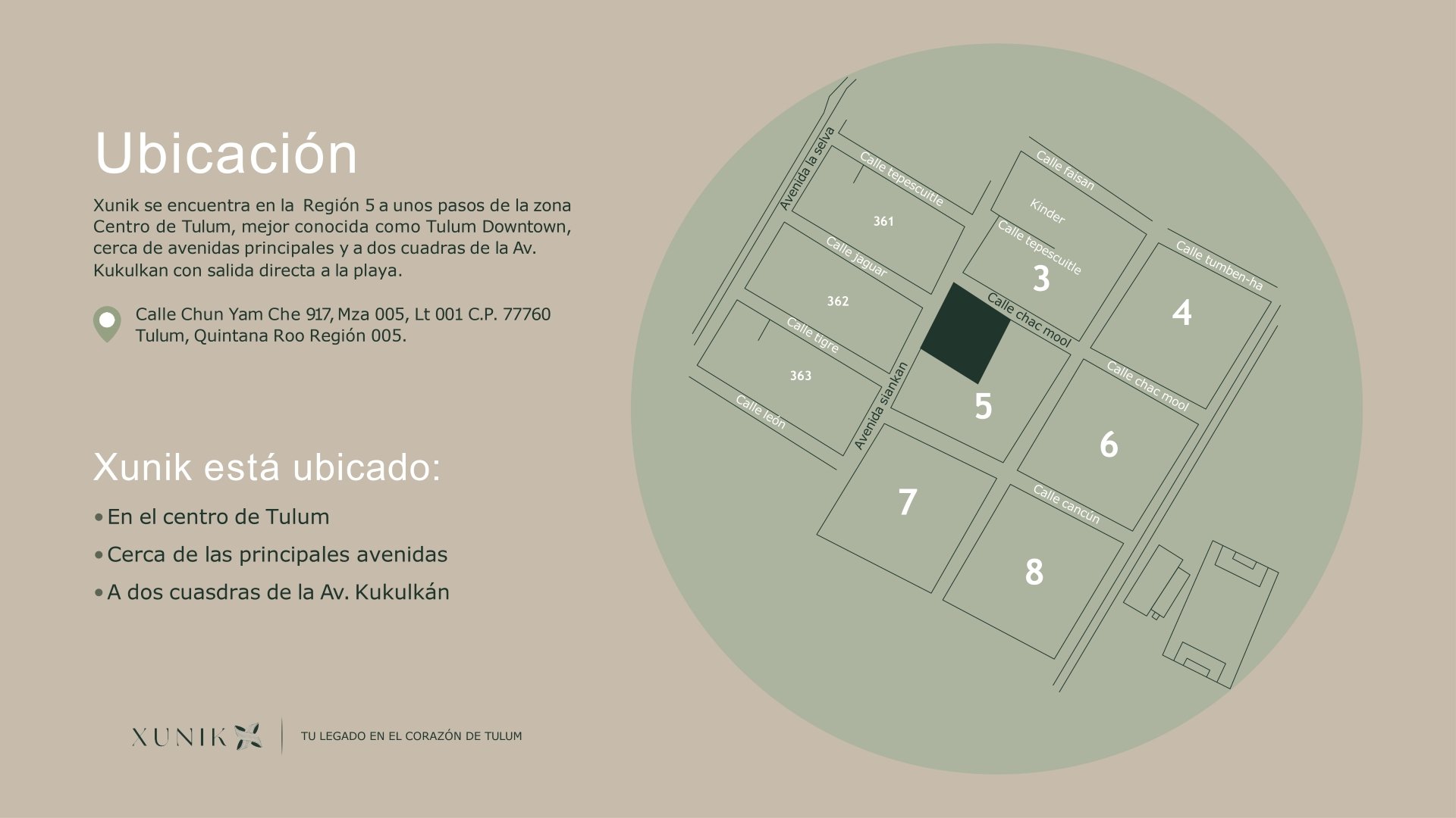 Desarrollo Xunik