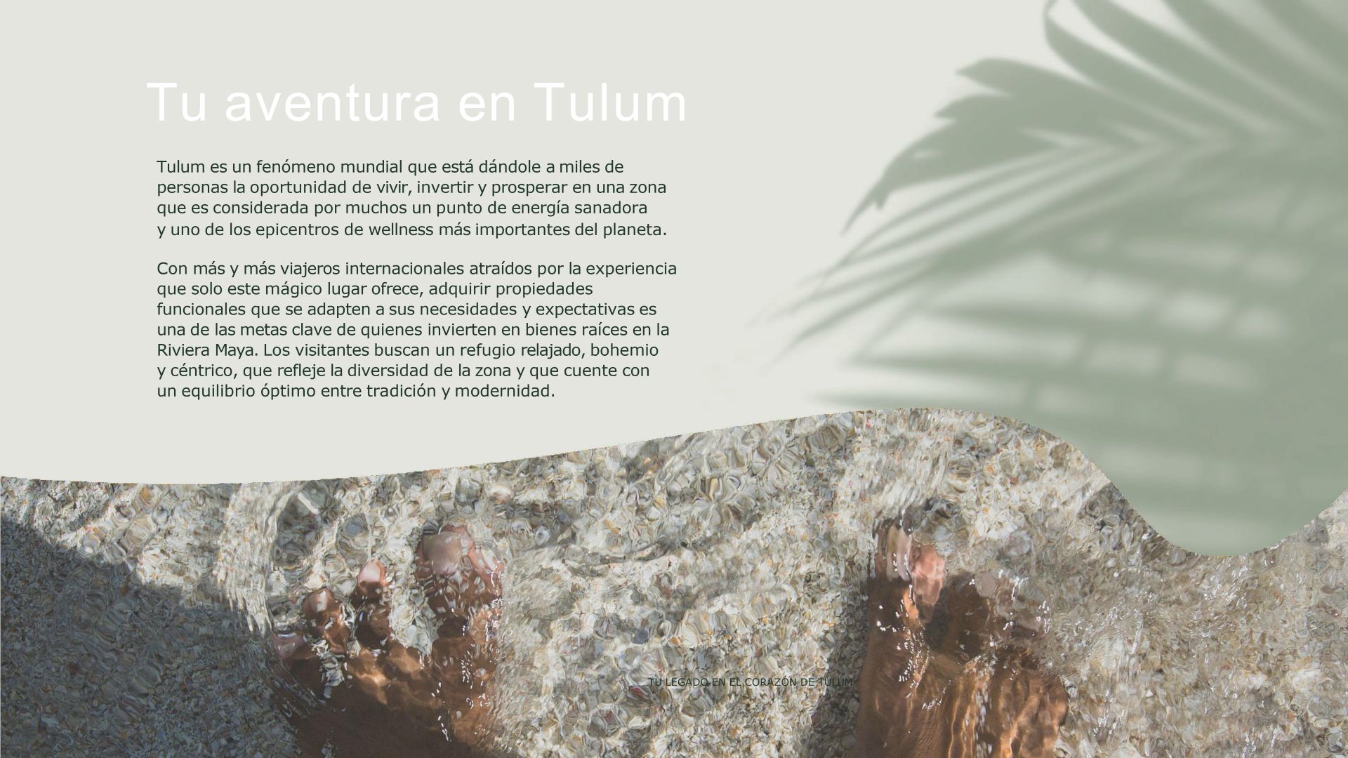 Desarrollo Xunik