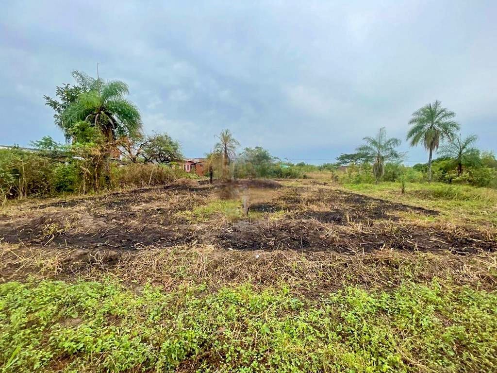 TERRENOS EN VENTA ATRAS DE ACEITE FINO EN WARNES - SANTA CRU