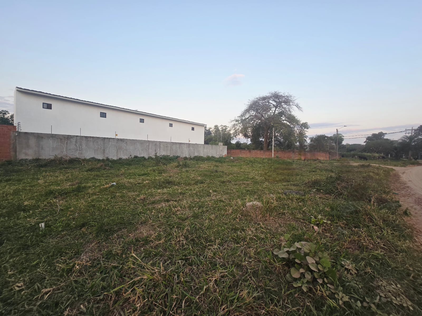 TERRENO EN VENTA SOBRE AVENIDA USO MIXTO ZONA NORTE