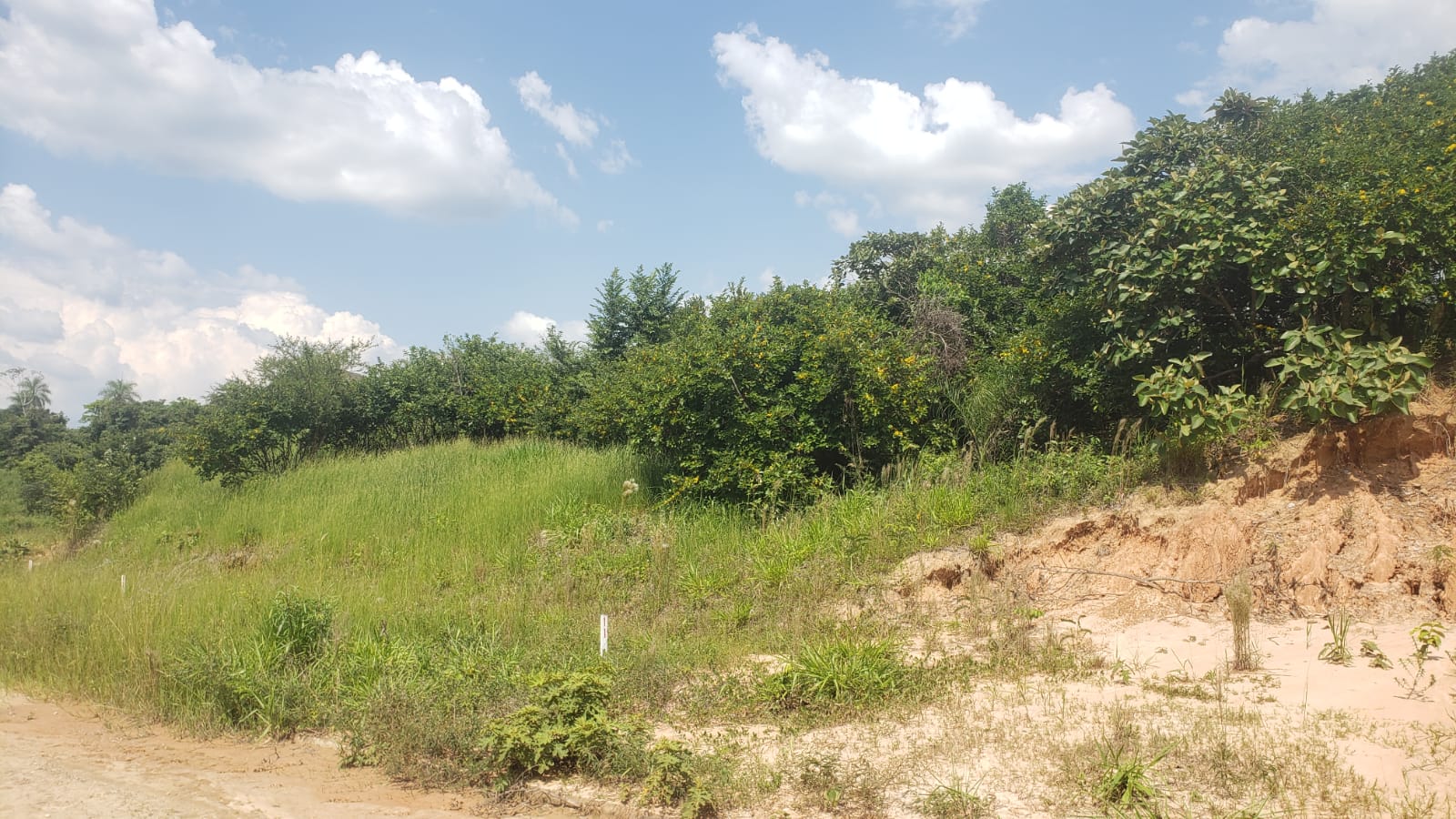 TERRENO EN VENTA EN URUBO - INMUEBLE NUMERO 533