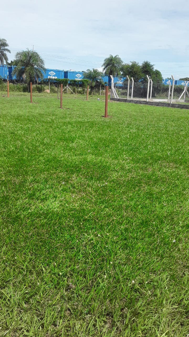 LOTES DE 300M2 EN VENTA EN WARNES - INMUEBLE NUMERO 81