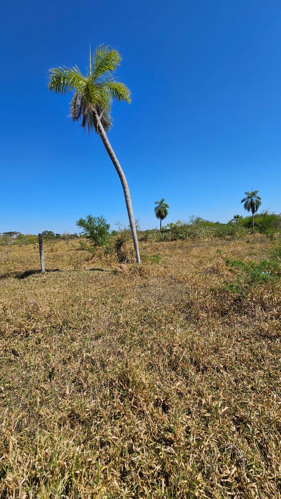 📍 TERRENO EN VENTA – URB. PENTAGUAZÚ 1, FASE 2