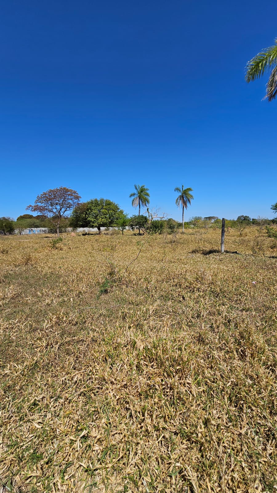 📍 TERRENO EN VENTA – URB. PENTAGUAZÚ 1, FASE 2