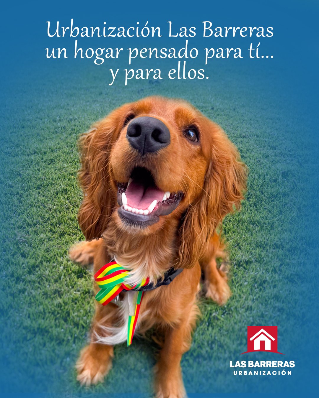 🏡 URBANIZACIÓN LAS BARRERAS – Tu lote ideal con facilidades