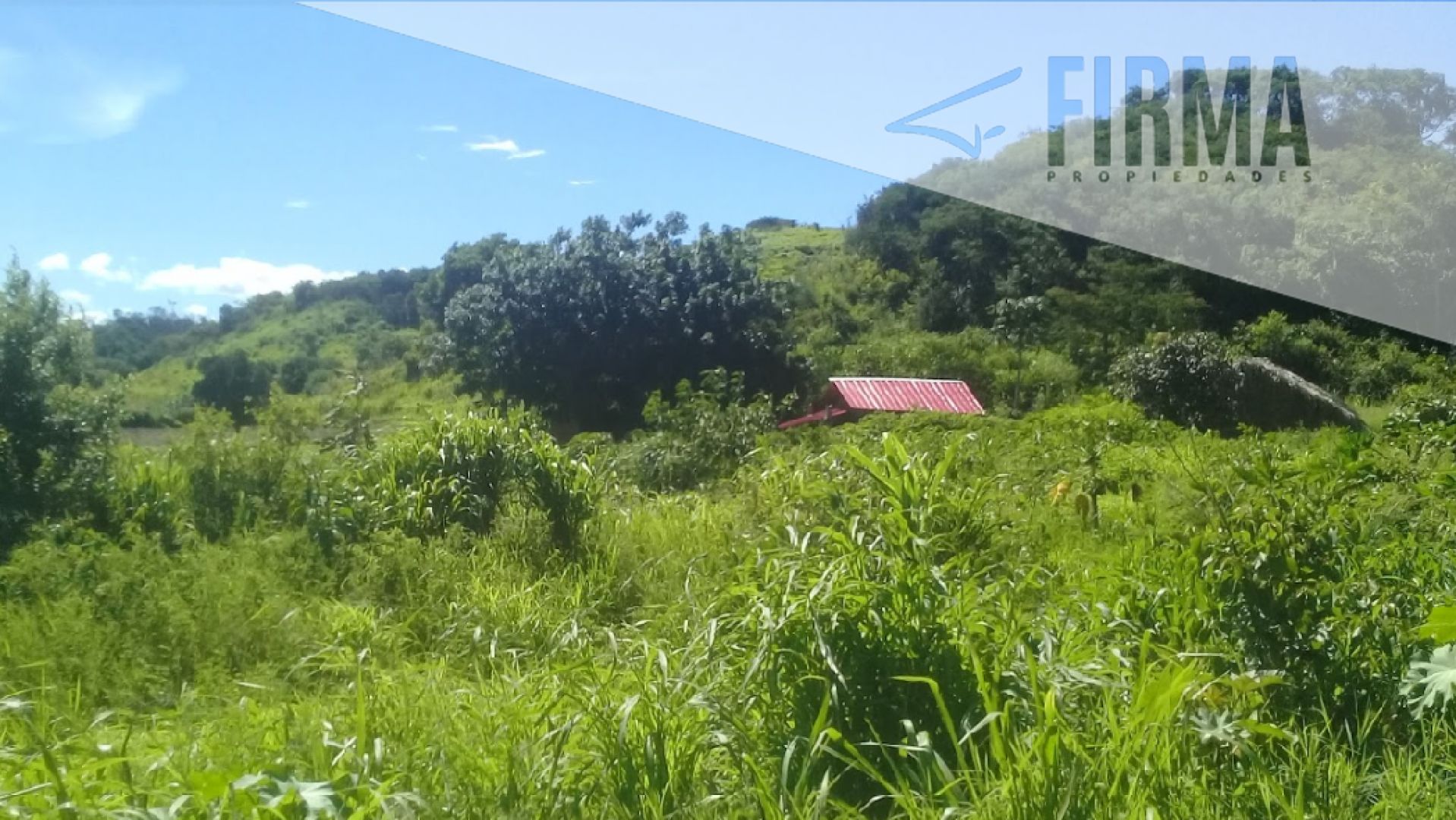 Compra Tu Terreno En La Urbanización Don José